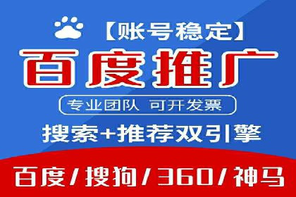谷歌竞价案例：跨境电商广告投放策略